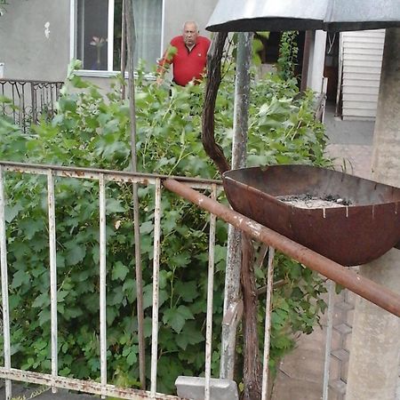 Guesthouse Valeria Borjomi Εξωτερικό φωτογραφία