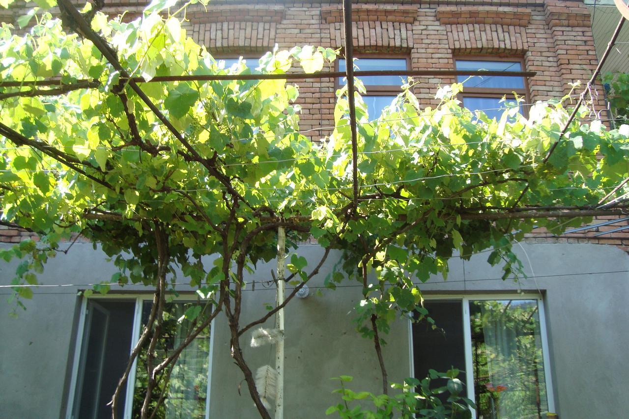 Guesthouse Valeria Borjomi Εξωτερικό φωτογραφία
